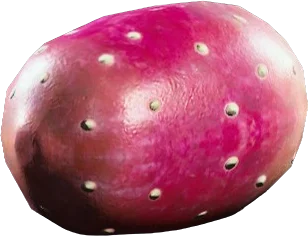 Prickly Pear