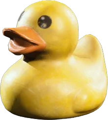 Rubber Duck